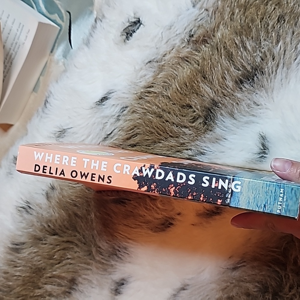 Book - Picture 6 of 6